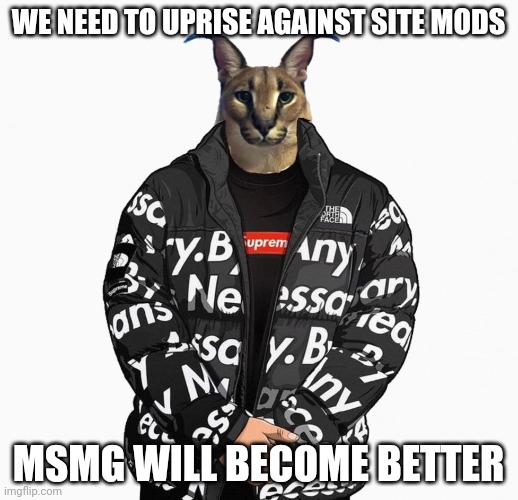 Floppa drip | WE NEED TO UPRISE AGAINST SITE MODS; MSMG WILL BECOME BETTER | image tagged in floppa drip | made w/ Imgflip meme maker