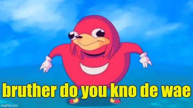 Do you know the way | bruther do you kno de wae | image tagged in do you know the way | made w/ Imgflip meme maker