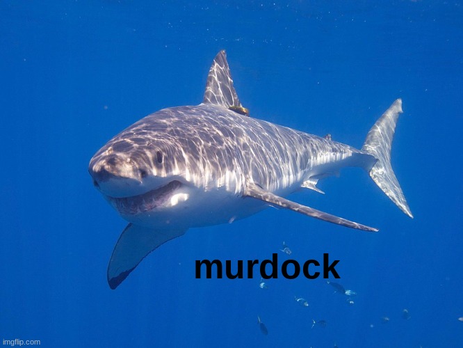 murdock | murdock | image tagged in murdock | made w/ Imgflip meme maker