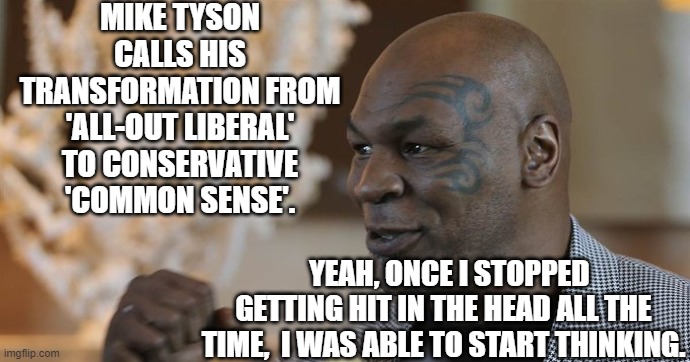 Yep . . . it really IS just common sense. | MIKE TYSON CALLS HIS TRANSFORMATION FROM 'ALL-OUT LIBERAL' TO CONSERVATIVE 'COMMON SENSE'. YEAH, ONCE I STOPPED GETTING HIT IN THE HEAD ALL THE TIME,  I WAS ABLE TO START THINKING. | image tagged in reality | made w/ Imgflip meme maker