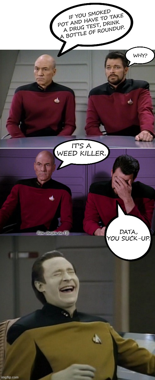 ST:TNG Face Palm | IF YOU SMOKED POT AND HAVE TO TAKE A DRUG TEST, DRINK A BOTTLE OF ROUNDUP. WHY? IT'S A WEED KILLER. DATA, YOU SUCK-UP. Ron Jensen on FB | image tagged in picard and riker corny joke,data laughing,star trek the next generation,star trek double facepalm,star trek,star trek data | made w/ Imgflip meme maker