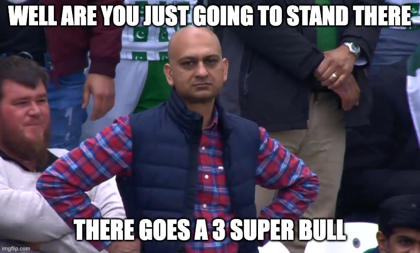 Disappointed Cricket Fan | WELL ARE YOU JUST GOING TO STAND THERE; THERE GOES A 3 SUPER BULL | image tagged in disappointed cricket fan | made w/ Imgflip meme maker