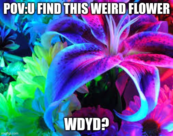 POV:U FIND THIS WEIRD FLOWER; WDYD? | made w/ Imgflip meme maker