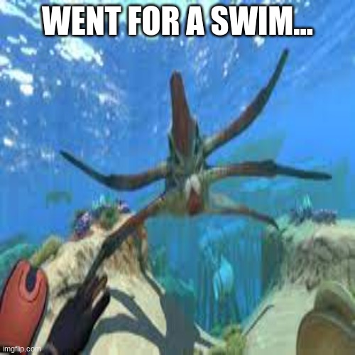 casual swimming be like: | WENT FOR A SWIM... | made w/ Imgflip meme maker