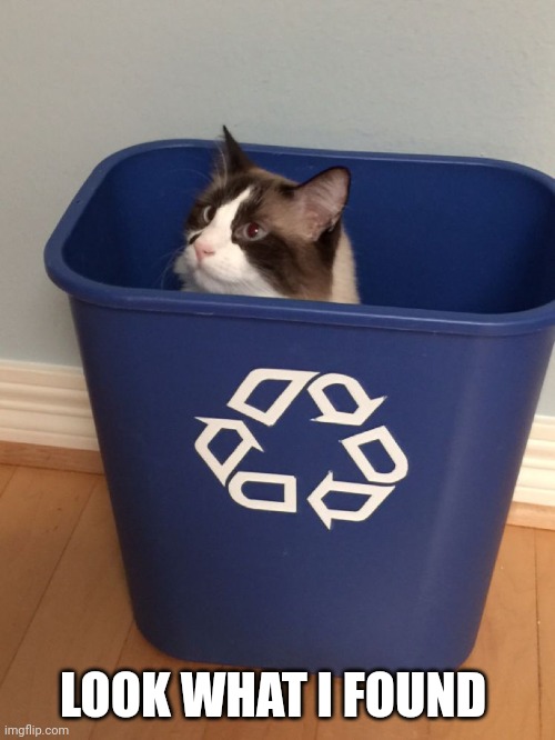 cat recycle | LOOK WHAT I FOUND | image tagged in cat recycle | made w/ Imgflip meme maker