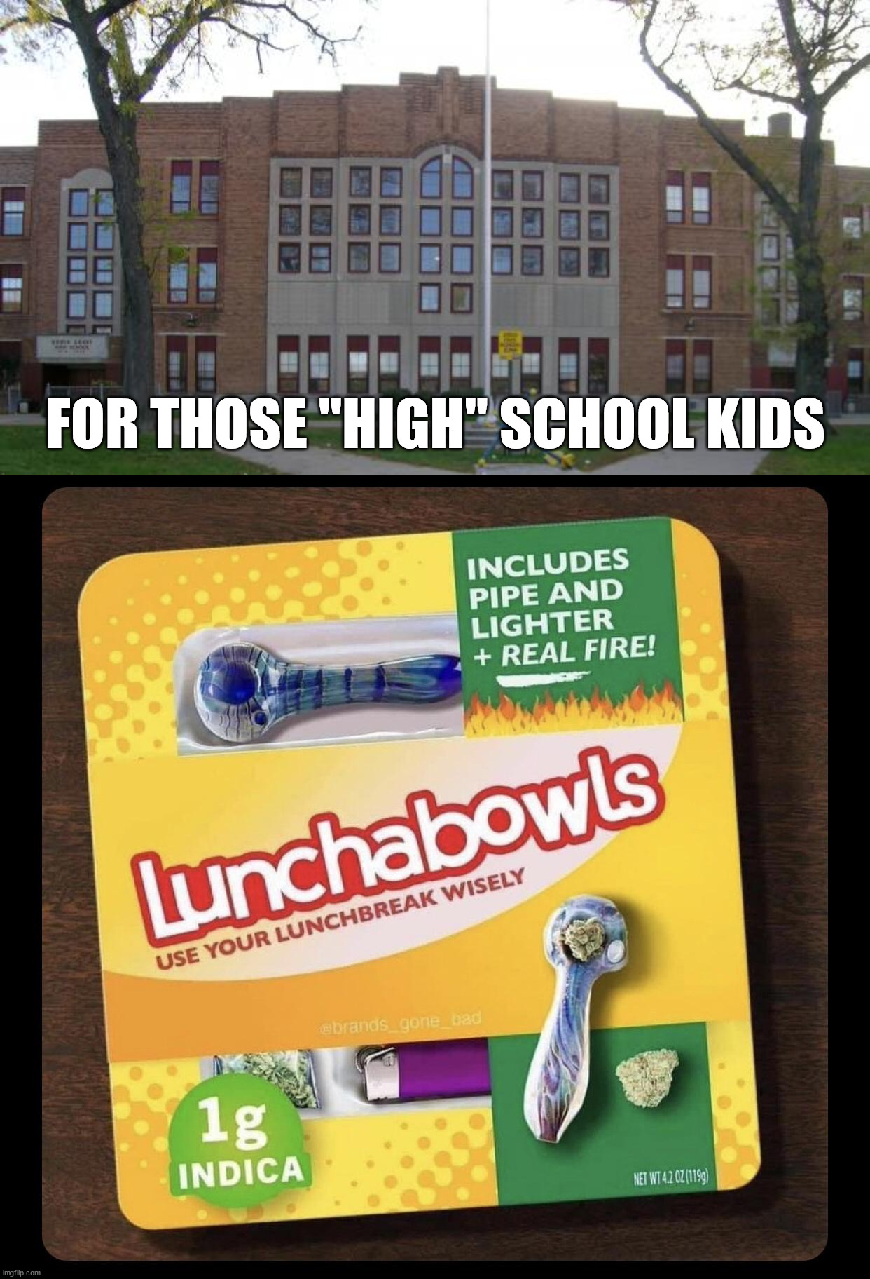 Smoke 'em if you got 'em | FOR THOSE "HIGH" SCHOOL KIDS | image tagged in high school,fake | made w/ Imgflip meme maker