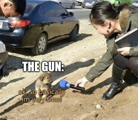 very smol | THE GUN: | image tagged in very smol | made w/ Imgflip meme maker