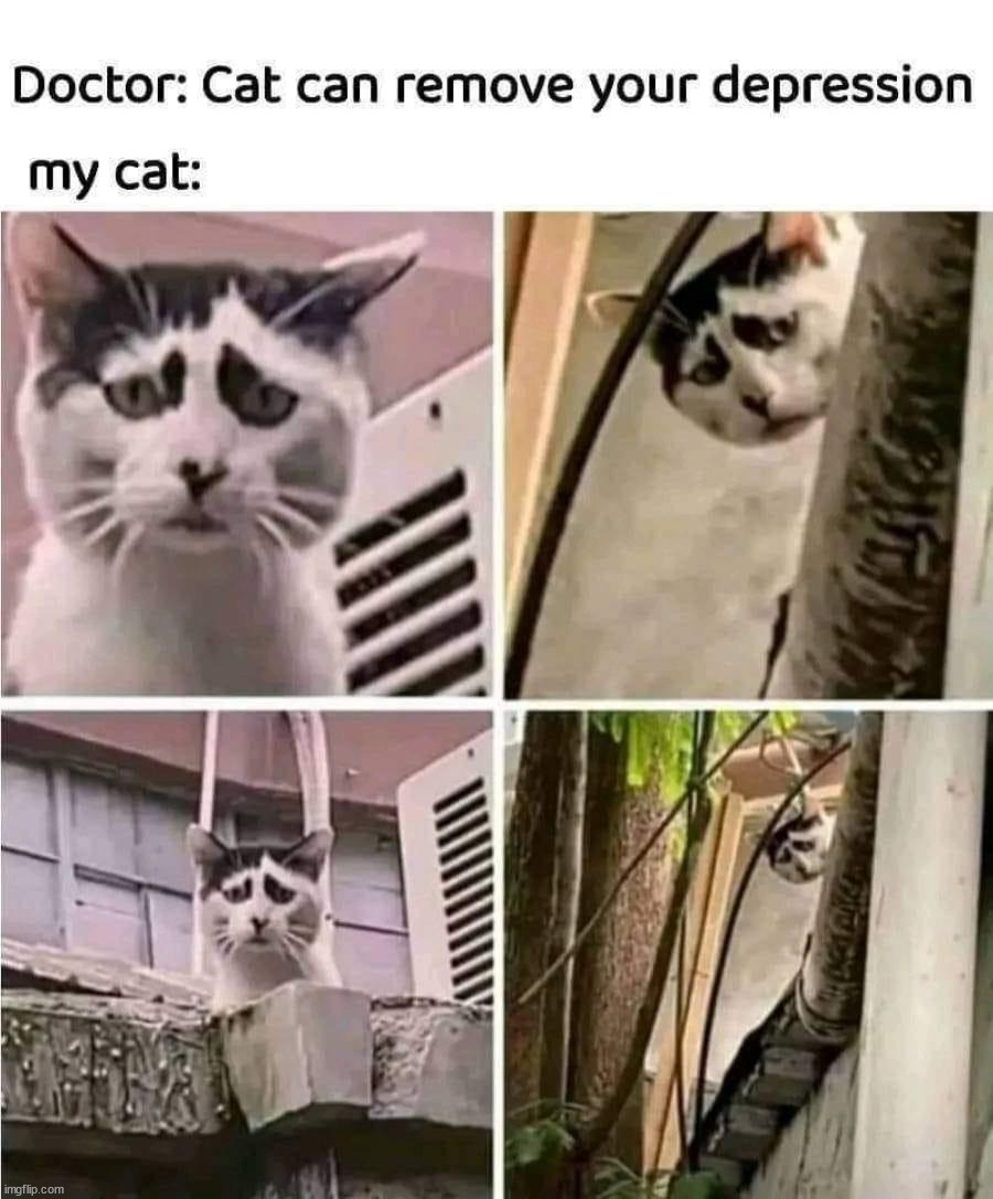 image tagged in depression | made w/ Imgflip meme maker