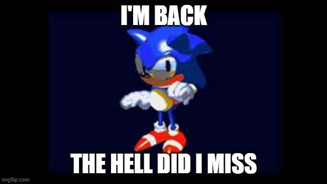 Prototype Sonic | I'M BACK; THE HELL DID I MISS | image tagged in prototype sonic | made w/ Imgflip meme maker