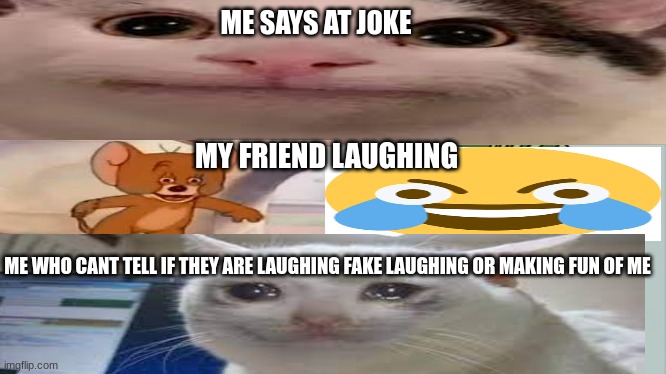 ME SAYS AT JOKE; MY FRIEND LAUGHING; ME WHO CANT TELL IF THEY ARE LAUGHING FAKE LAUGHING OR MAKING FUN OF ME | made w/ Imgflip meme maker