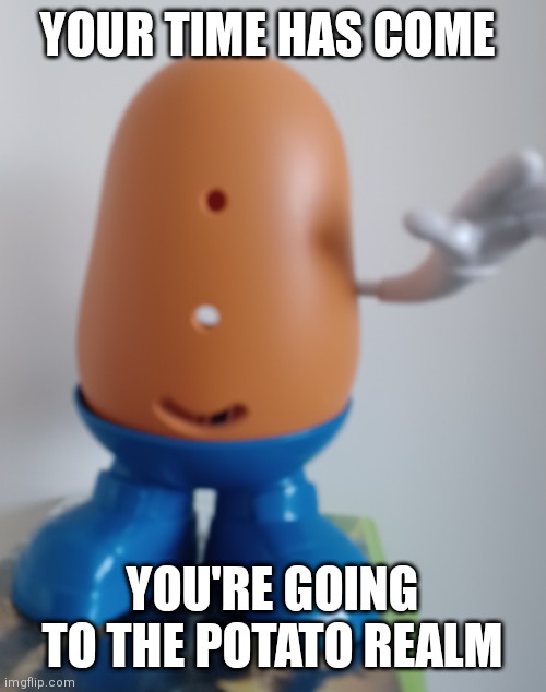 Potato Realm | YOUR TIME HAS COME; YOU'RE GOING TO THE POTATO REALM | image tagged in potato realm | made w/ Imgflip meme maker