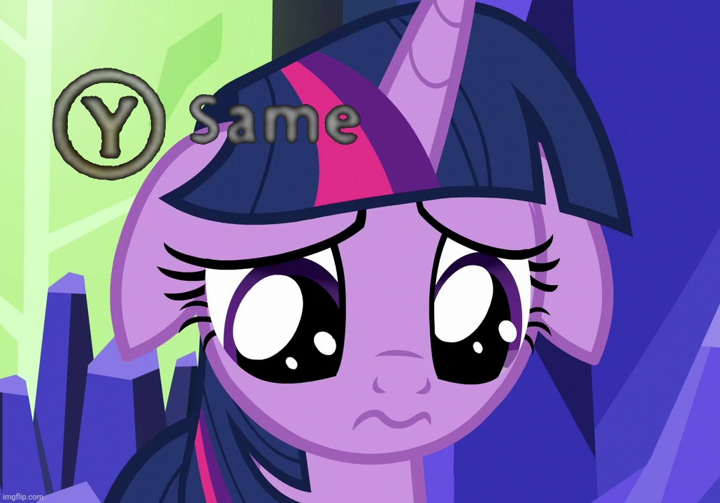 Sad Twilight (MLP) | image tagged in sad twilight mlp | made w/ Imgflip meme maker