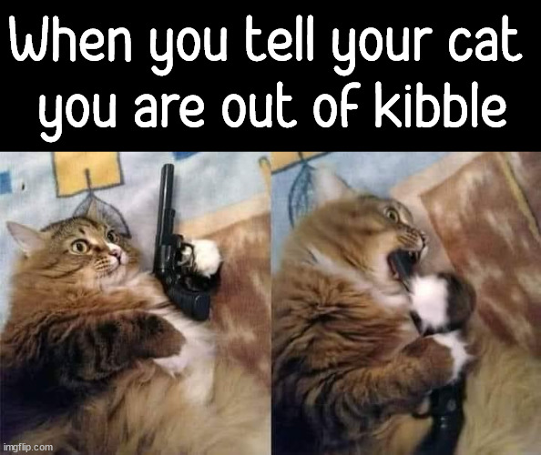 When you tell your cat 
you are out of kibble | image tagged in dark humor | made w/ Imgflip meme maker