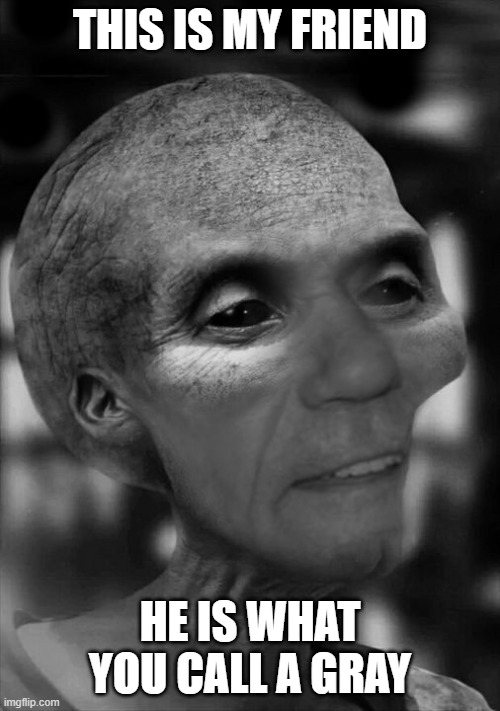 THIS IS MY FRIEND; HE IS WHAT YOU CALL A GRAY | made w/ Imgflip meme maker