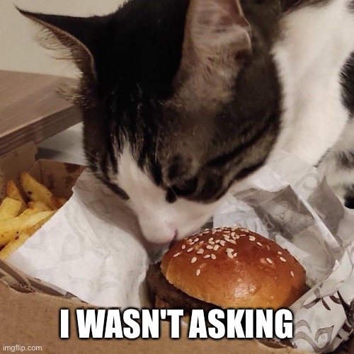 I WASN'T ASKING | image tagged in i can has cheezburger cat | made w/ Imgflip meme maker