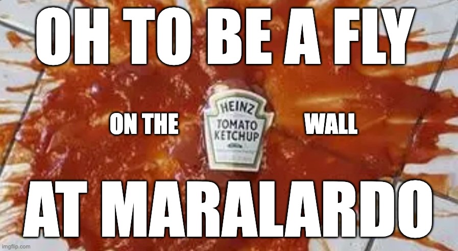 Fly on the Wall | OH TO BE A FLY; ON THE                            WALL; AT MARALARDO | image tagged in ketchup,donald trump,maralago,maralardo,meltdown | made w/ Imgflip meme maker