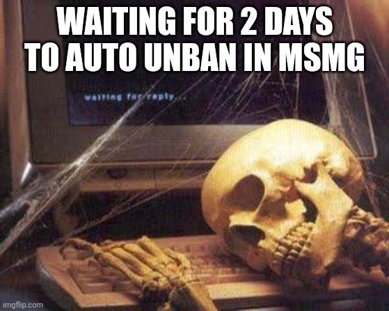 Waiting Skull | WAITING FOR 2 DAYS TO AUTO UNBAN IN MSMG | image tagged in waiting skull | made w/ Imgflip meme maker