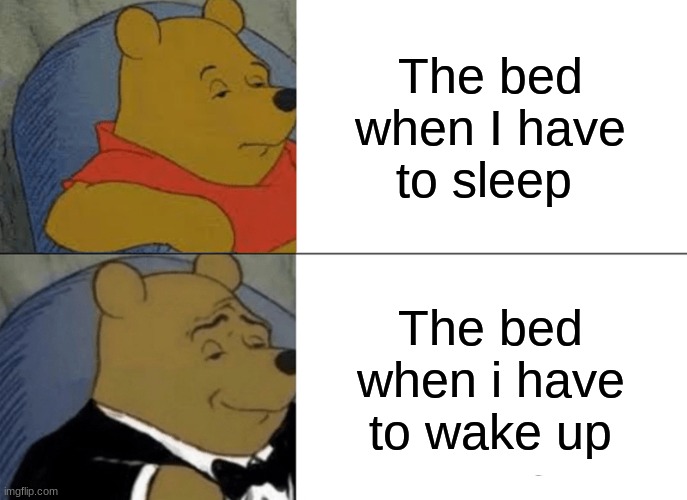 Tuxedo Winnie The Pooh Meme | The bed when I have to sleep; The bed when I have to wake up | image tagged in memes,tuxedo winnie the pooh | made w/ Imgflip meme maker