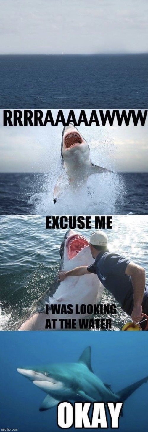 image tagged in memes | made w/ Imgflip meme maker