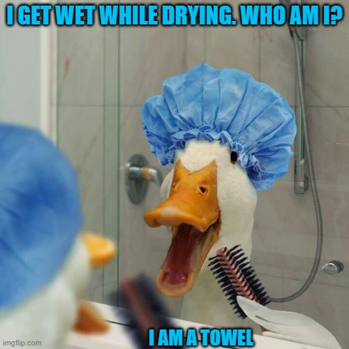 I GET WET WHILE DRYING. WHO AM I? I AM A TOWEL | image tagged in riddle | made w/ Imgflip meme maker