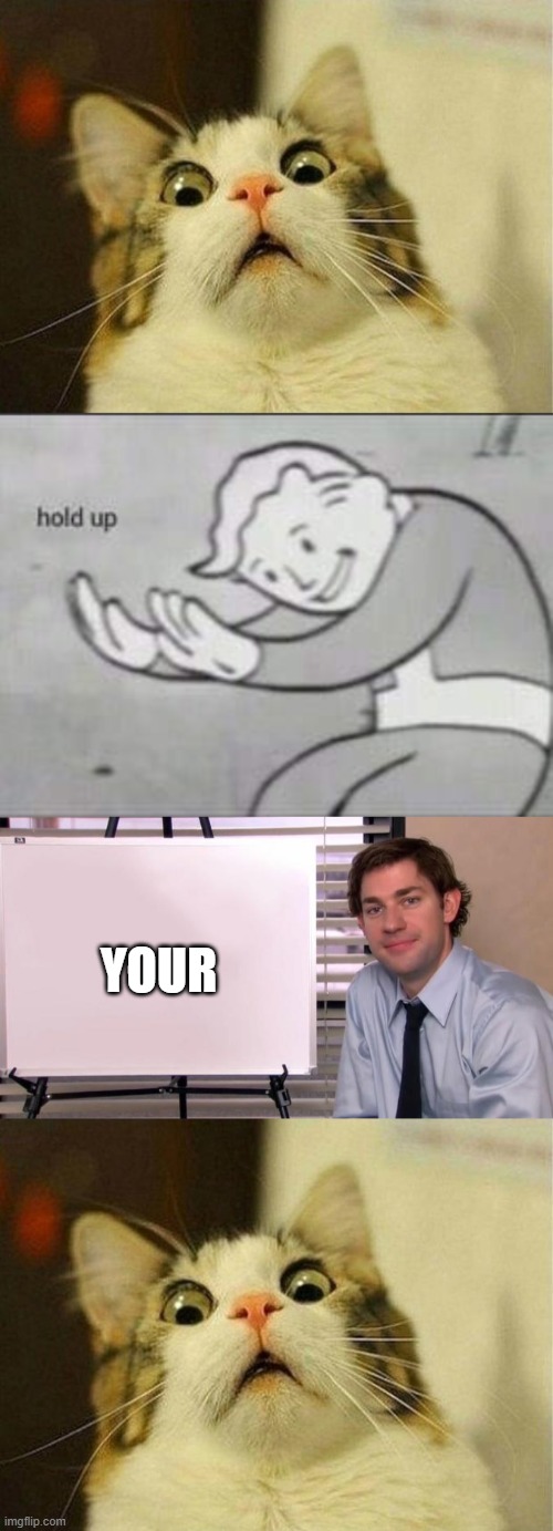 YOUR | image tagged in memes,scared cat,fallout hold up,jim halpert explains | made w/ Imgflip meme maker