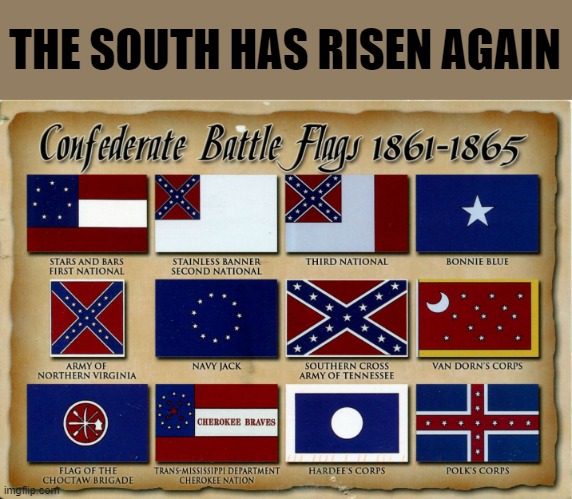 brainwashed | THE SOUTH HAS RISEN AGAIN | image tagged in brainwashed,brainwashed liberal | made w/ Imgflip meme maker