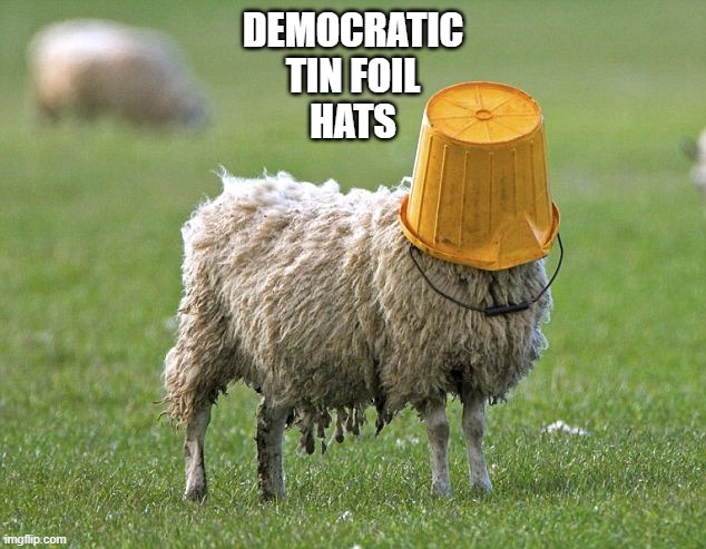 DEMOCRATIC
TIN FOIL
HATS | image tagged in stupid sheep | made w/ Imgflip meme maker
