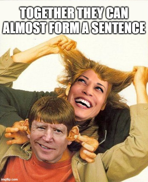 Dumb and Dumber | TOGETHER THEY CAN
ALMOST FORM A SENTENCE | image tagged in dumb and dumber | made w/ Imgflip meme maker