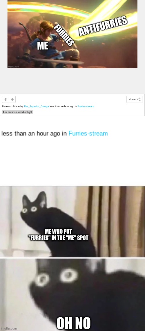 OH NO!! | ME WHO PUT "FURRIES" IN THE "ME" SPOT; OH NO | image tagged in oh no black cat | made w/ Imgflip meme maker