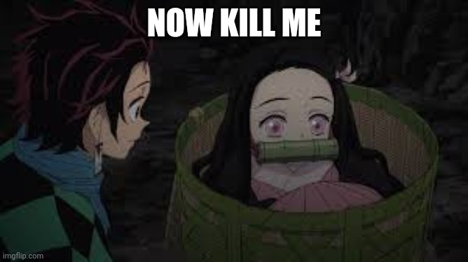 Nezuko in tiny sack | NOW KILL ME | image tagged in nezuko in tiny sack | made w/ Imgflip meme maker