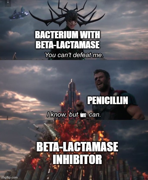 Team work makes the dream work | BACTERIUM WITH BETA-LACTAMASE; PENICILLIN; WE; BETA-LACTAMASE INHIBITOR | image tagged in you can't defeat me | made w/ Imgflip meme maker