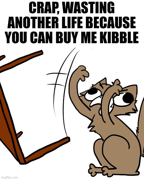 angry kitty | CRAP, WASTING ANOTHER LIFE BECAUSE YOU CAN BUY ME KIBBLE | image tagged in angry kitty | made w/ Imgflip meme maker