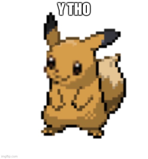 Cursed Eevee | Y THO | image tagged in cursed eevee | made w/ Imgflip meme maker