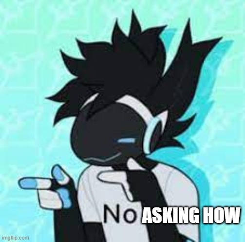 protogen no point | ASKING HOW | image tagged in protogen no point | made w/ Imgflip meme maker