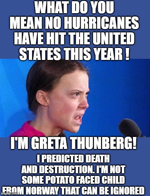 yep | WHAT DO YOU MEAN NO HURRICANES HAVE HIT THE UNITED STATES THIS YEAR ! I PREDICTED DEATH AND DESTRUCTION. I'M NOT SOME POTATO FACED CHILD FROM NORWAY THAT CAN BE IGNORED; I'M GRETA THUNBERG! | image tagged in green new deal | made w/ Imgflip meme maker