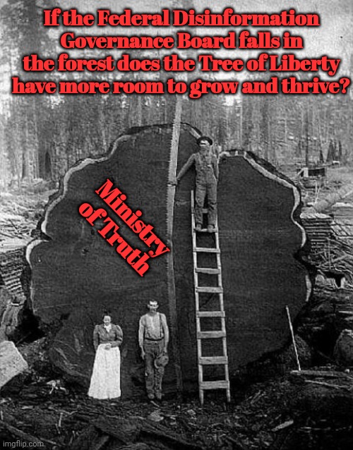 Ministry of Truth | If the Federal Disinformation Governance Board falls in the forest does the Tree of Liberty have more room to grow and thrive? Ministry of Truth | made w/ Imgflip meme maker