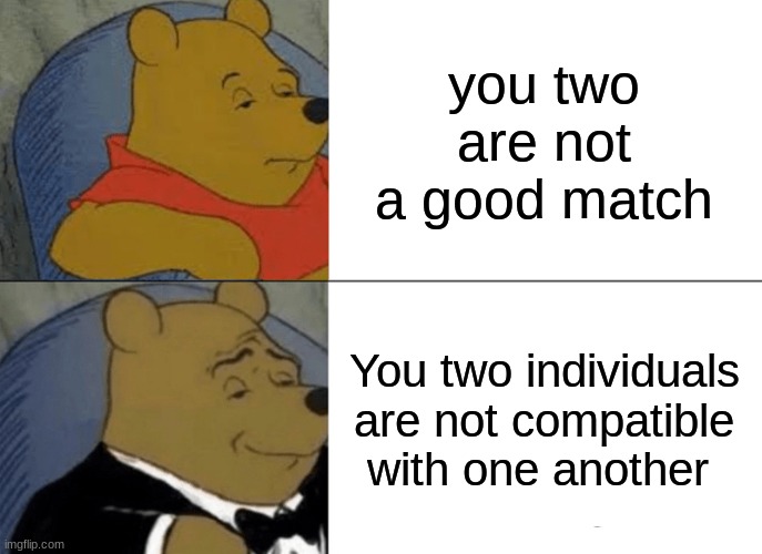english is weird | you two are not a good match; You two individuals are not compatible with one another | image tagged in memes,tuxedo winnie the pooh,funny memes,funny,meme,suit | made w/ Imgflip meme maker