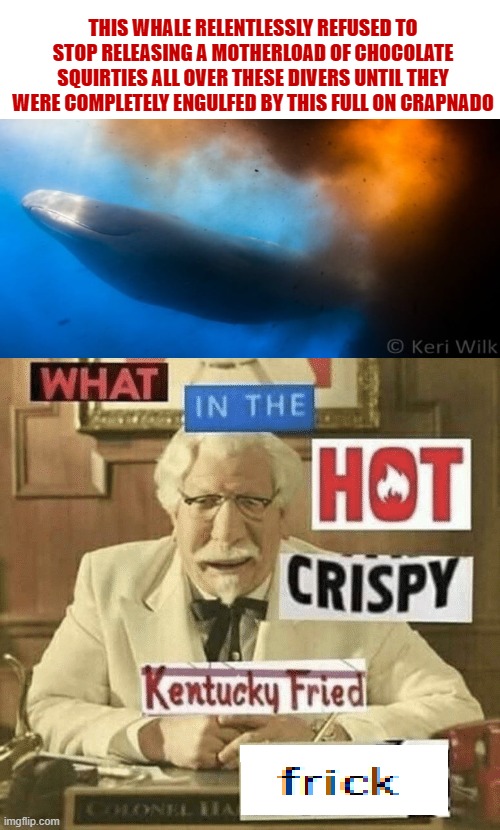 what in the hot crispy kentucky fried frick | THIS WHALE RELENTLESSLY REFUSED TO STOP RELEASING A MOTHERLOAD OF CHOCOLATE SQUIRTIES ALL OVER THESE DIVERS UNTIL THEY WERE COMPLETELY ENGULFED BY THIS FULL ON CRAPNADO | image tagged in what in the hot crispy kentucky fried frick | made w/ Imgflip meme maker