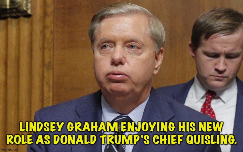 Those quislings who sold out the patriot game | LINDSEY GRAHAM ENJOYING HIS NEW ROLE AS DONALD TRUMP'S CHIEF QUISLING. | image tagged in lindsey graham | made w/ Imgflip meme maker