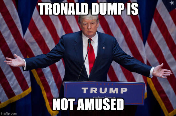 Donald Trump | TRONALD DUMP IS NOT AMUSED | image tagged in donald trump | made w/ Imgflip meme maker