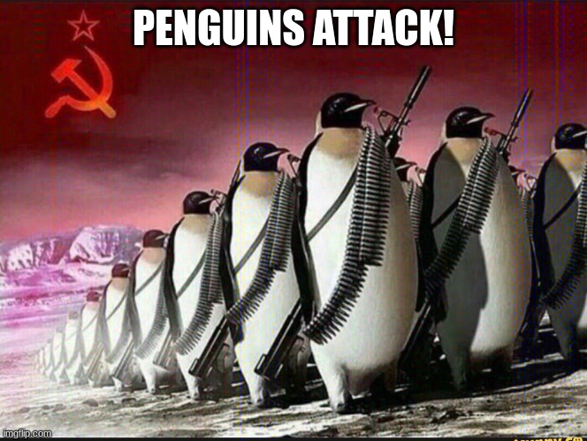 Penguin army | PENGUINS ATTACK! | image tagged in penguin army | made w/ Imgflip meme maker