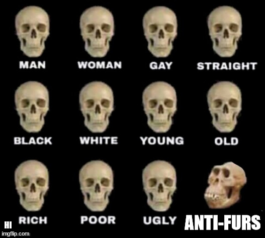 furry hate is stupid | ANTI-FURS; HI | image tagged in idiot skull,furries | made w/ Imgflip meme maker