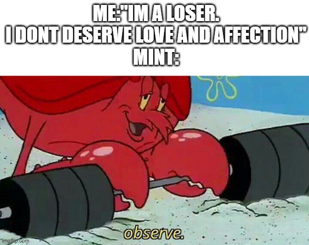 Observe | ME:"IM A LOSER. I DONT DESERVE LOVE AND AFFECTION"
MINT: | image tagged in observe | made w/ Imgflip meme maker