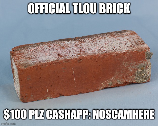 OFFICIAL TLOU BRICK; $100 PLZ CASHAPP: NOSCAMHERE | made w/ Imgflip meme maker