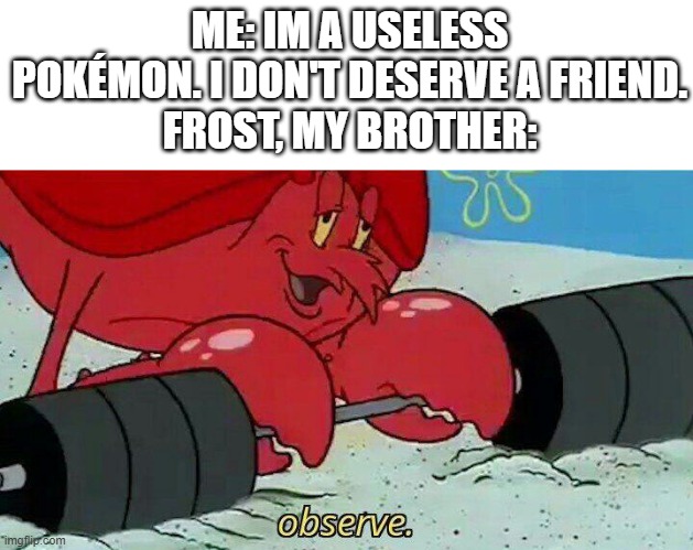 Observe | ME: IM A USELESS POKÉMON. I DON'T DESERVE A FRIEND.
FROST, MY BROTHER: | image tagged in observe | made w/ Imgflip meme maker