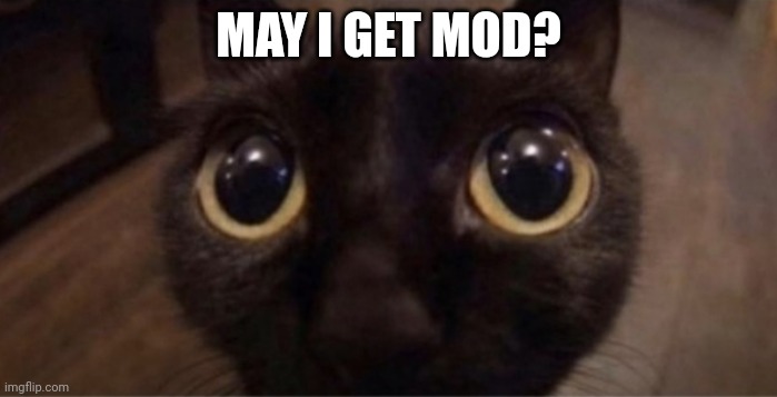 Skrunkly | MAY I GET MOD? | image tagged in skrunkly | made w/ Imgflip meme maker