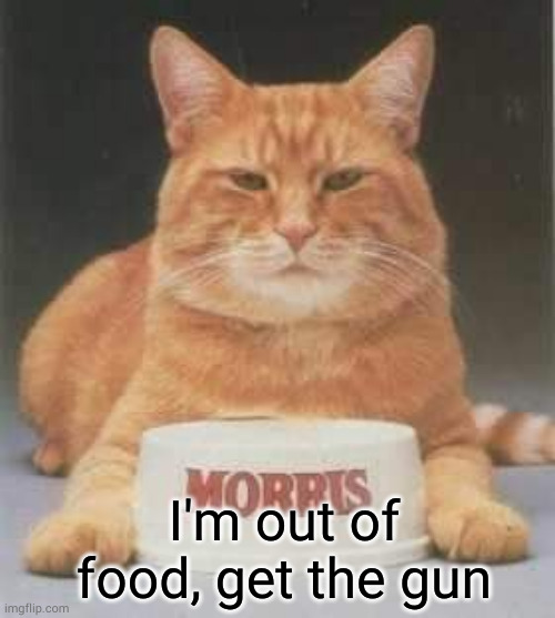 Boomer Cat | I'm out of food, get the gun | image tagged in boomer cat | made w/ Imgflip meme maker