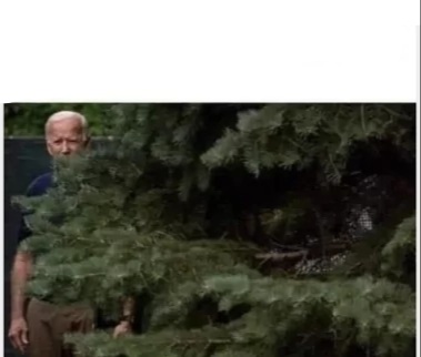 Hidin Joe Biden Blank Meme Template