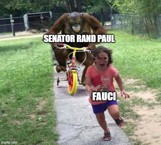 The Elf is gonna reap the whirlwind once the red wave arrives after the midterm elections. | SENATOR RAND PAUL; FAUCI | image tagged in dr fauci,midterms,liberals,democrats,covid,fraud | made w/ Imgflip meme maker