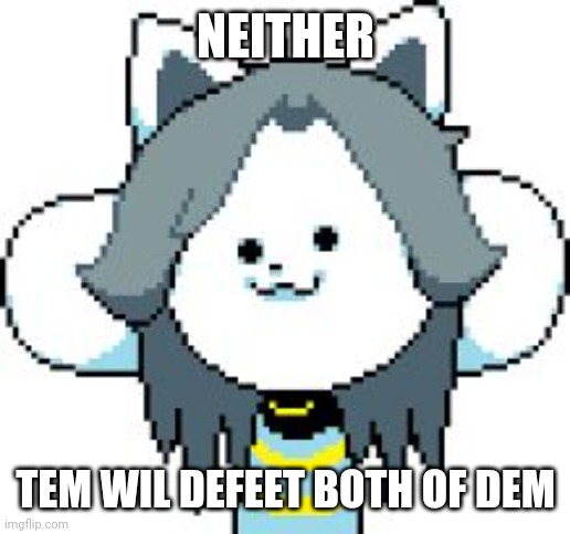 TEMMIE | NEITHER TEM WIL DEFEET BOTH OF DEM | image tagged in temmie | made w/ Imgflip meme maker